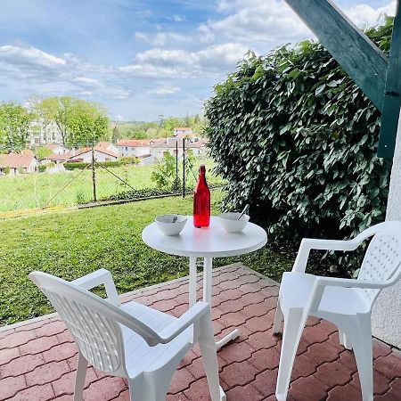 Studio Eglantine A Cambo-Les-Bains, Proche Thermes, Terrasse, Parking, Acces Internet, Animaux Ok - Fr-1-495-106 Exterior foto